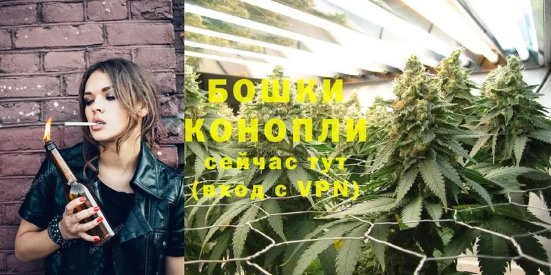 закладка  Мурино  Марихуана THC 21% 